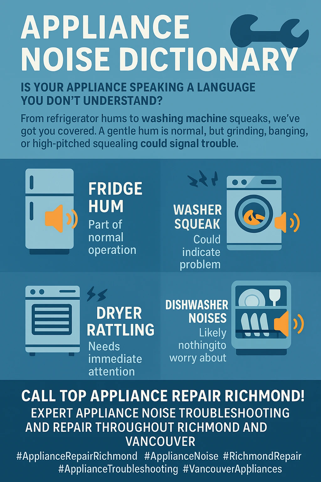 Infographic summarizing how to troubleshoot common appliance noises in Richmond homes.